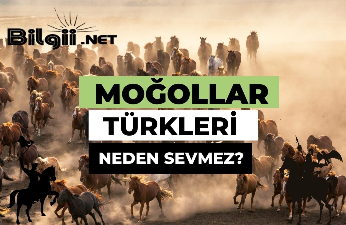 Moğollar Türkleri Neden Sevmez?