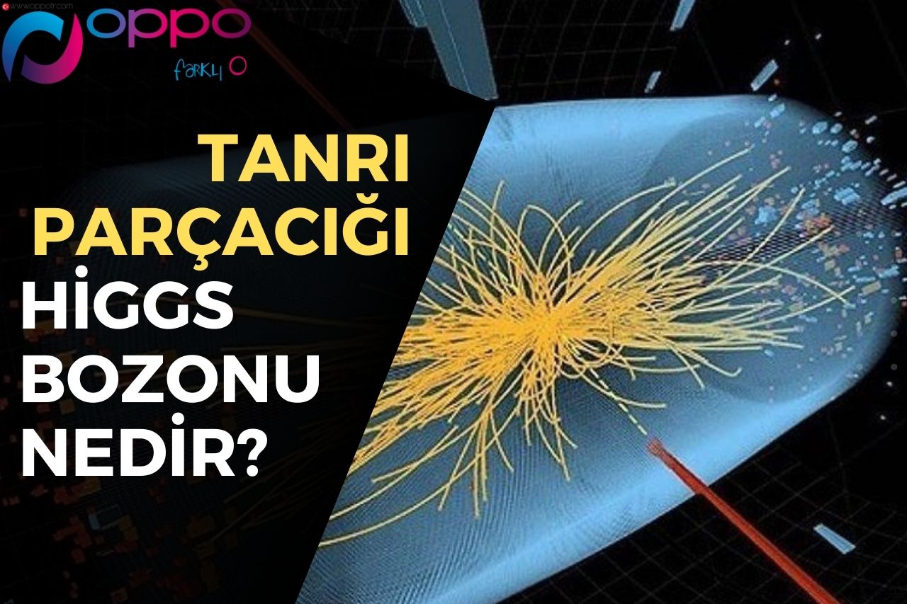 Tanrı Parçacığı: Higgs Bozonu Nedir?